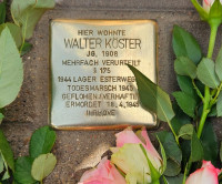 Walter Köster